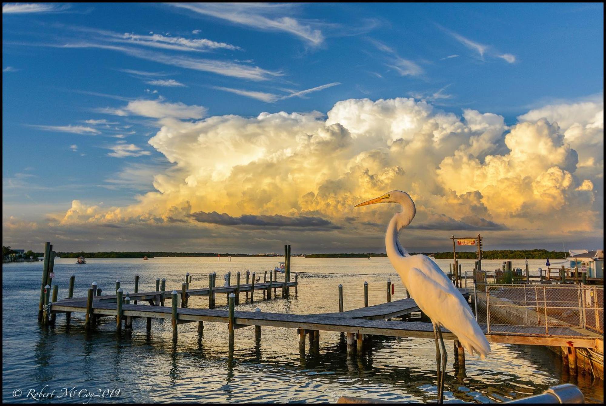 Bermuda Bay Beach Club St. Petersburg Bagian luar foto